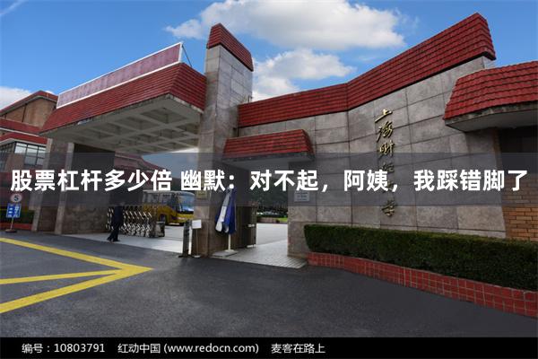 股票杠杆多少倍 幽默：对不起，阿姨，我踩错脚了