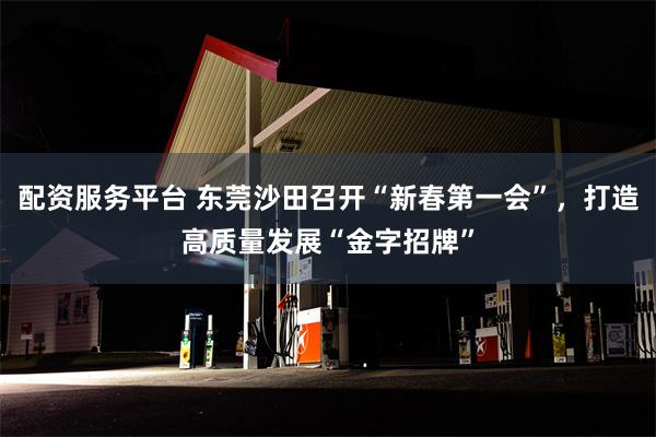 配资服务平台 东莞沙田召开“新春第一会”，打造高质量发展“金字招牌”