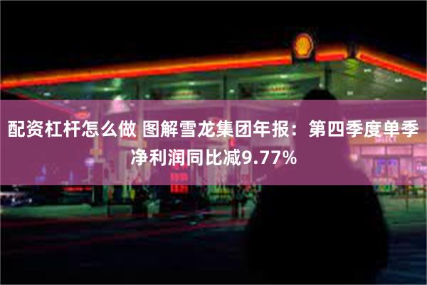 配资杠杆怎么做 图解雪龙集团年报：第四季度单季净利润同比减9.77%