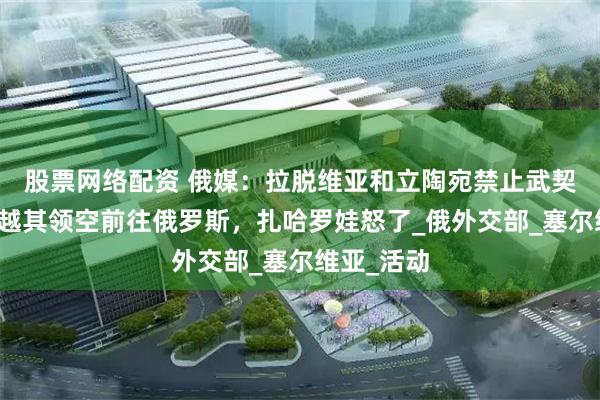 股票网络配资 俄媒：拉脱维亚和立陶宛禁止武契奇乘机飞越其领空前往俄罗斯，扎哈罗娃怒了_俄外交部_塞尔维亚_活动