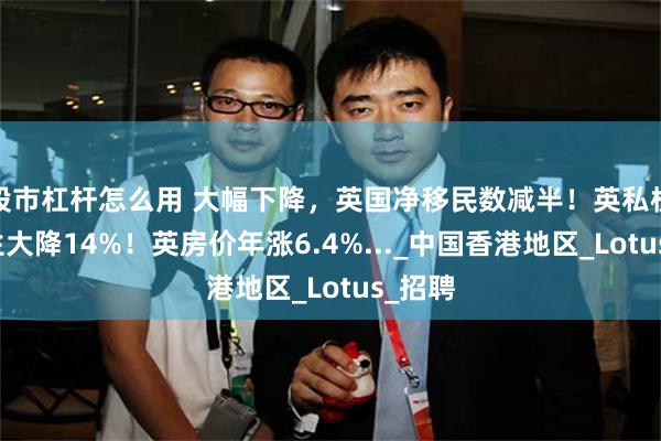 股市杠杆怎么用 大幅下降，英国净移民数减半！英私校留学生大降14%！英房价年涨6.4%..._中国香港地区_Lotus_招聘