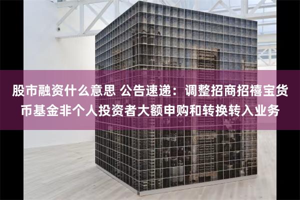 股市融资什么意思 公告速递：调整招商招禧宝货币基金非个人投资者大额申购和转换转入业务