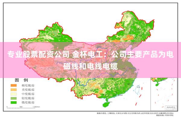 专业股票配资公司 金杯电工：公司主要产品为电磁线和电线电缆