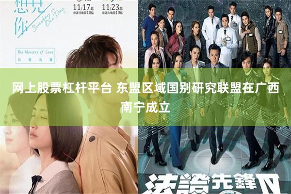 网上股票杠杆平台 东盟区域国别研究联盟在广西南宁成立
